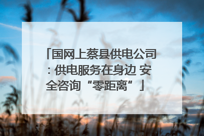 国网上蔡县供电公司：供电服务在身边 安全咨询“零距离”